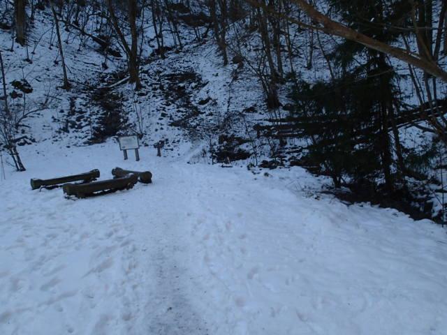 林道出合。日陰にあたることもあり、完全に雪道。
