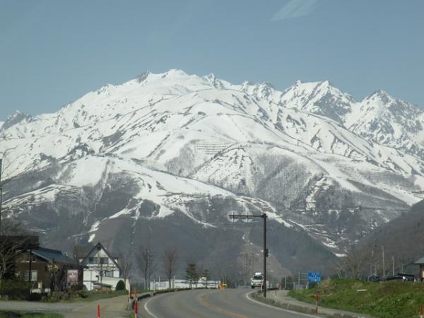 最初に視界に入って来る白馬の景色。