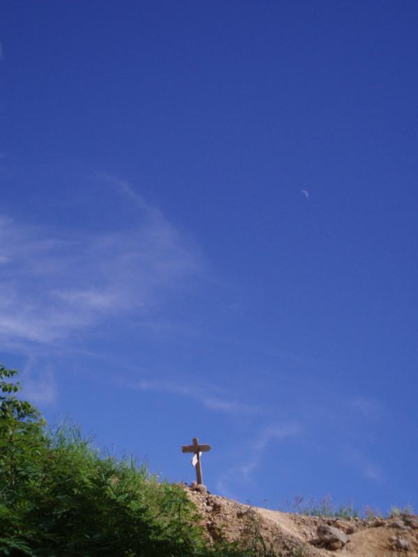 うっすらと月が。