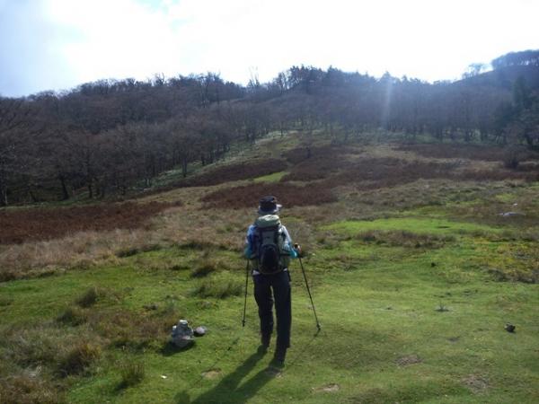 のどかな明神平は1323ｍ