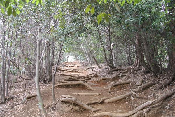 稲荷山コース