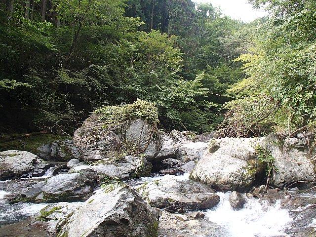 緑が美しい沢、始まりです。