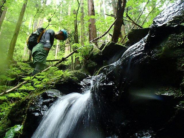 沢が気持ちのいい季節がやってきました