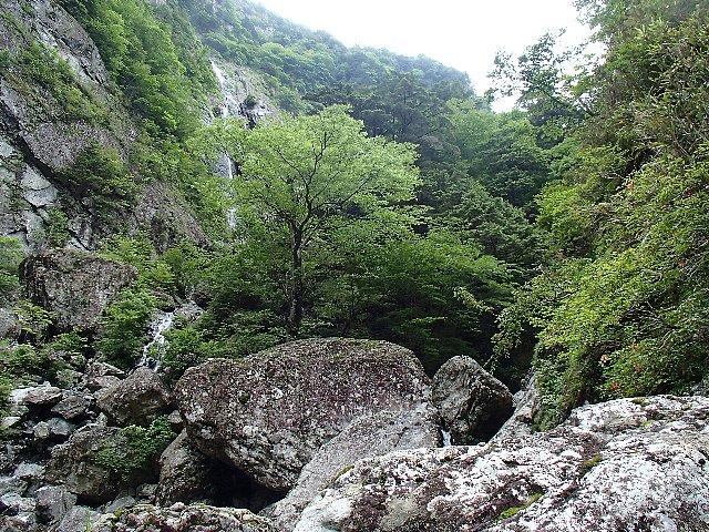 シオカラ谷の様子