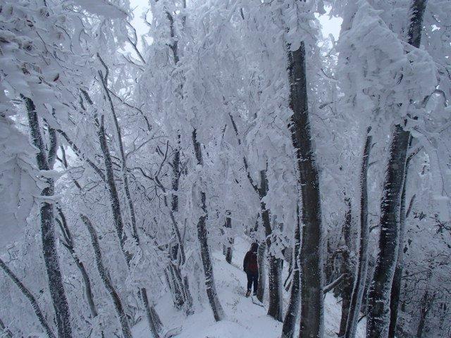 久しぶりの雪山