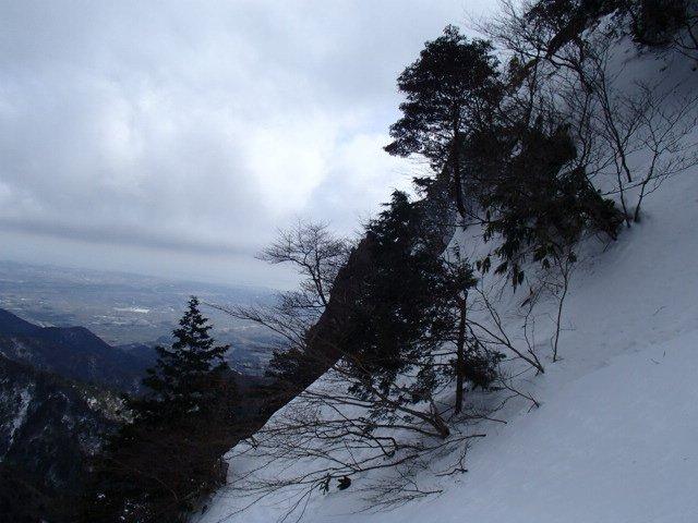 海が近い山。