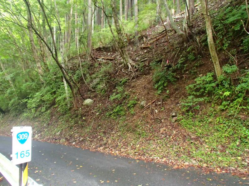 大川口から少し戻り入山