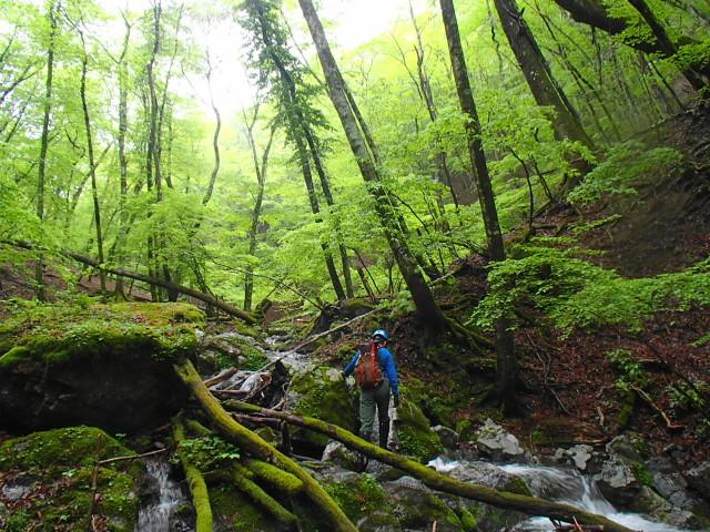 癒しの渓・木原谷