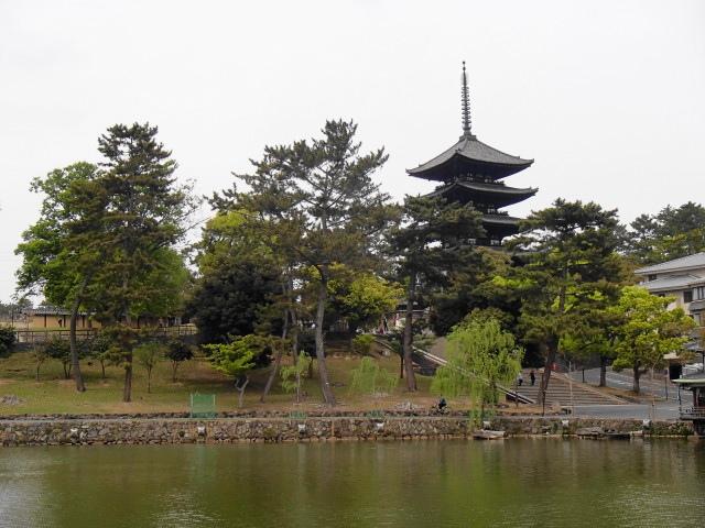 猿沢の池越しの興福寺