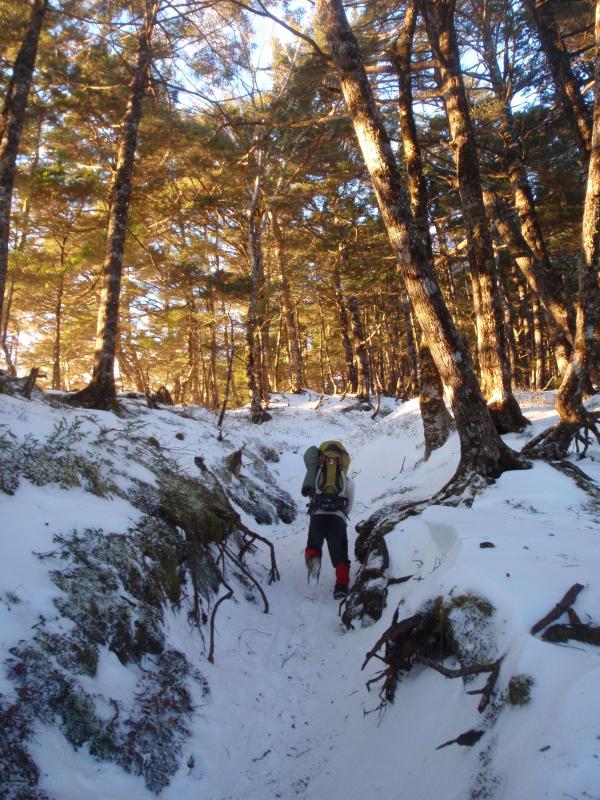 黒戸尾根を登る。積雪は多いです。