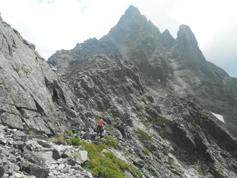 心が高揚してきますが、焦らず行動します。