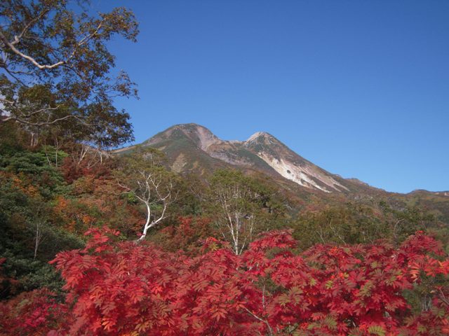紅葉と白山（左：御前峰、右：剣が峰）