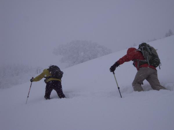 ゲレンデのラッセルからスタート。スキーを履いても膝下まで埋まります。