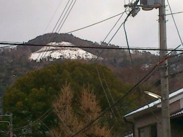 朝起きたら雪が積もっていました。