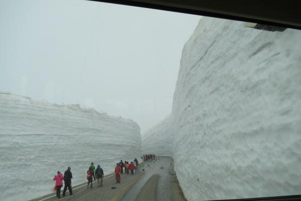 帰路、大盛況の雪の大谷。高さは最高点で19メートルだそうです。