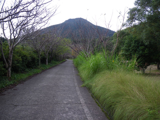 アスファルトの登山道を歩く。