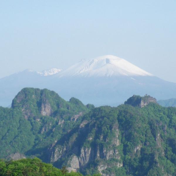 真ん中右のキノコのような形が丁須の頭。