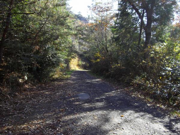 今日も良い天気。