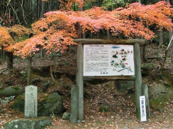 色づいています。