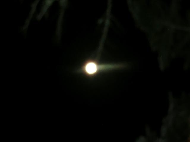 中秋の名月やなあ。