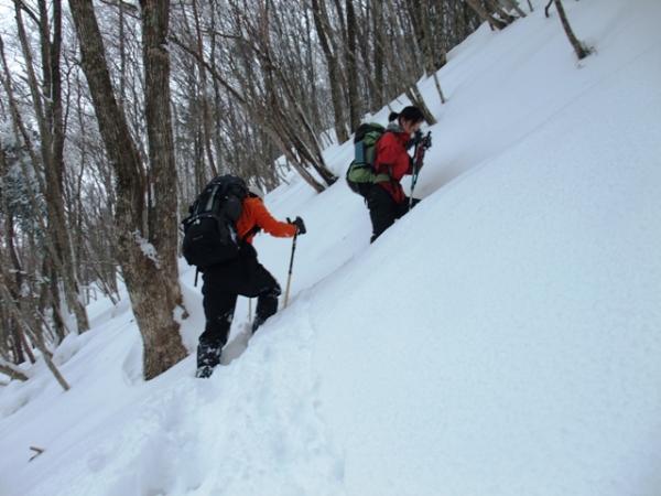 武奈は初めが一番つらい！きつく長い傾斜が続きます