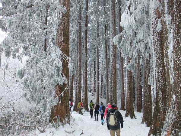 豪雪の金剛山！