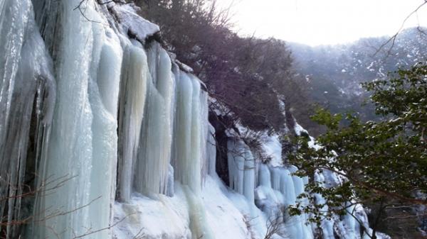 この上はどうなっているのでしょうか。気になりますが･･･やめときます。