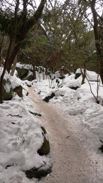 多くの人が歩いた跡は、雪が踏み固められてかなり滑りやすくなっています。