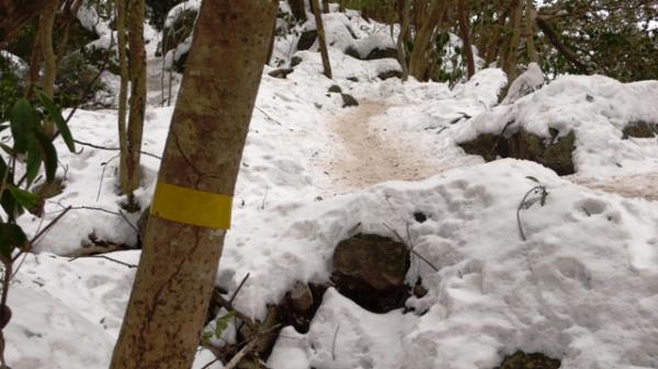 目印になるテープも豊富なので、初心者の方にもオススメです。