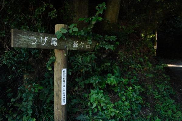 黒木からつげ尾に向かっていきます