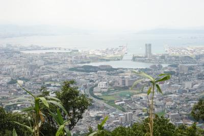 立花山からの眺め。玄界灘が一望できます。