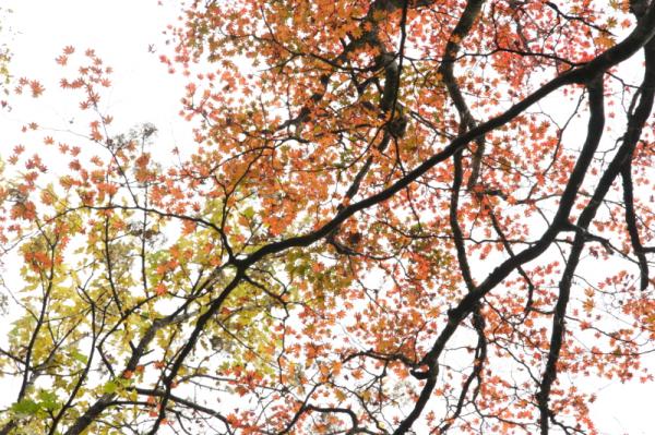 所々キレイでした。