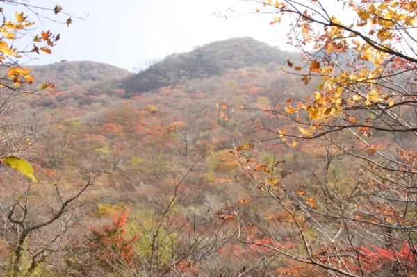 風穴付近から高塚山を眺めます。