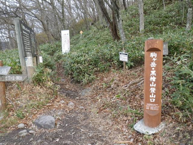 駒ケ岳登山口です。ここから今日は登ります。