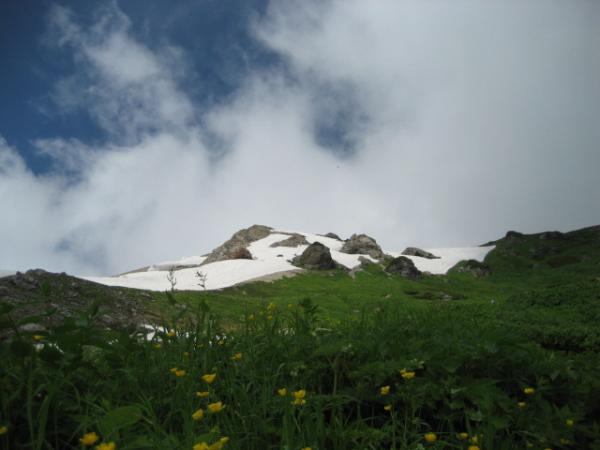 青・白・緑・黄