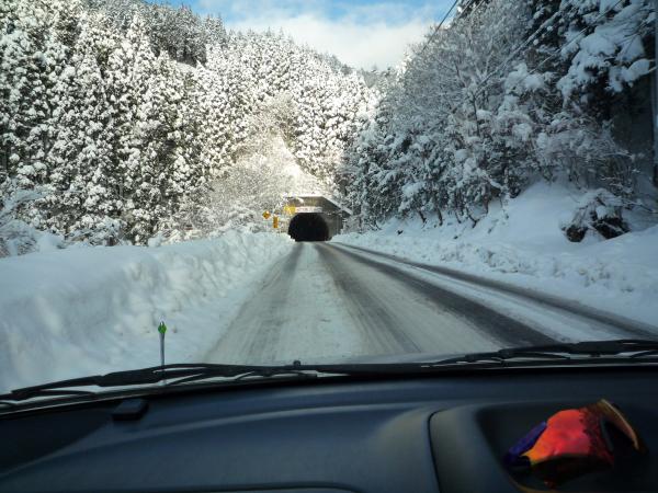 国道367号　花折れトンネル付近です。雪国みたいですね。