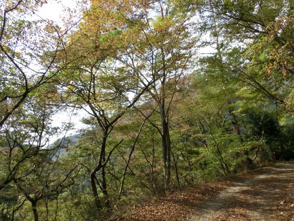 しゅっぱーーつ