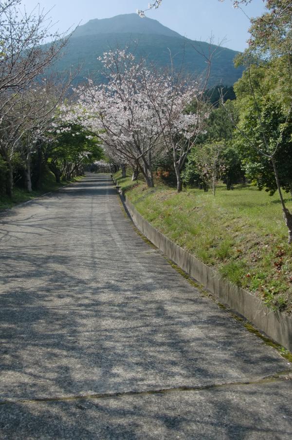 開門岳と桜。いい季節にいきました。
