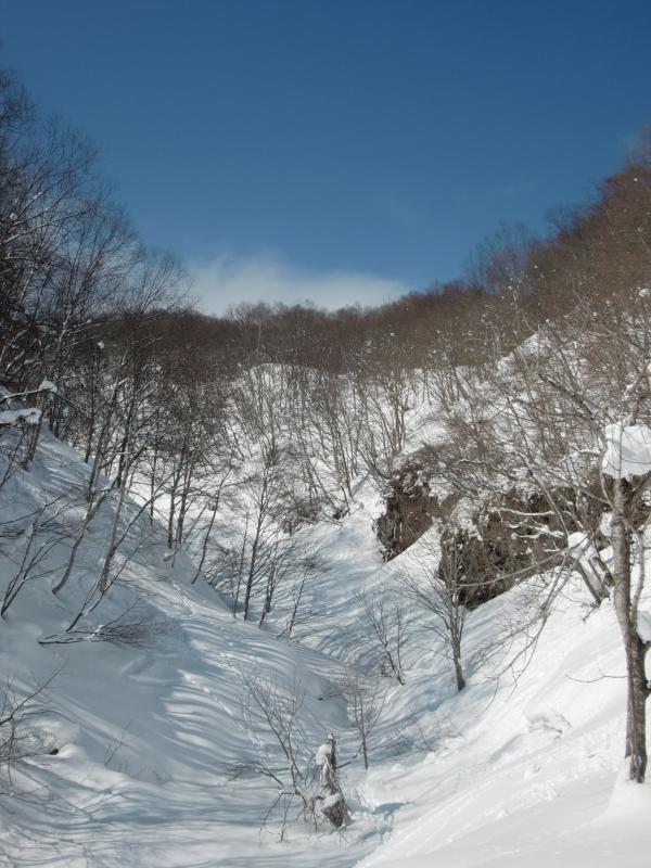 ２月なのに春のような気温
