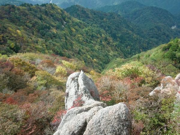 良い感じで紅葉していました！