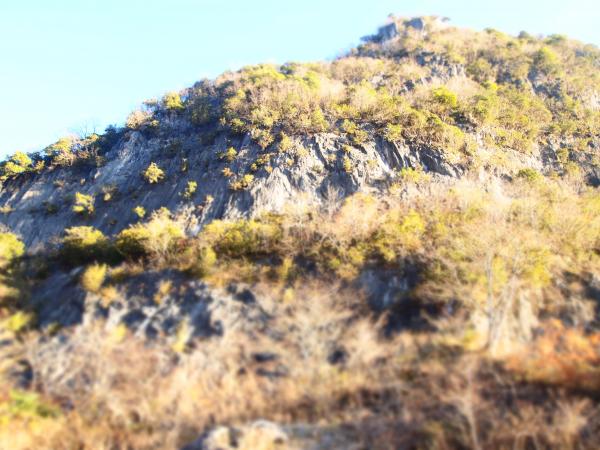 用瀬岳。ここも登れそうだ。