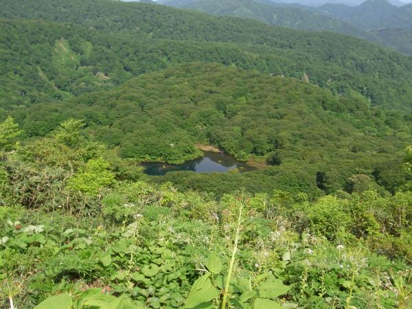 のぞきより鶴間池