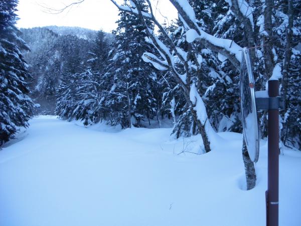 ここからワサビ谷へ。奥に案内標識が見えます。