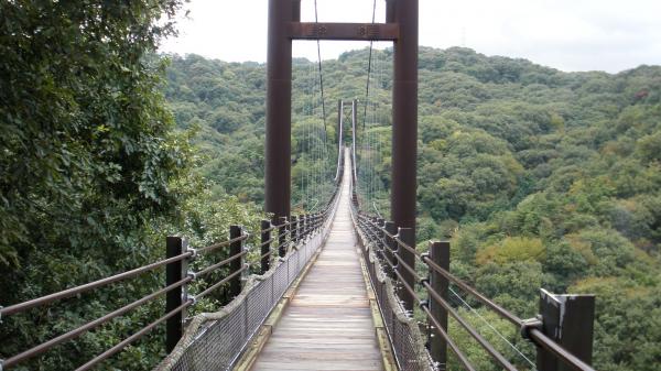 橋を渡っています