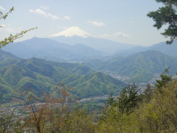 猿橋の町並みと富士山
