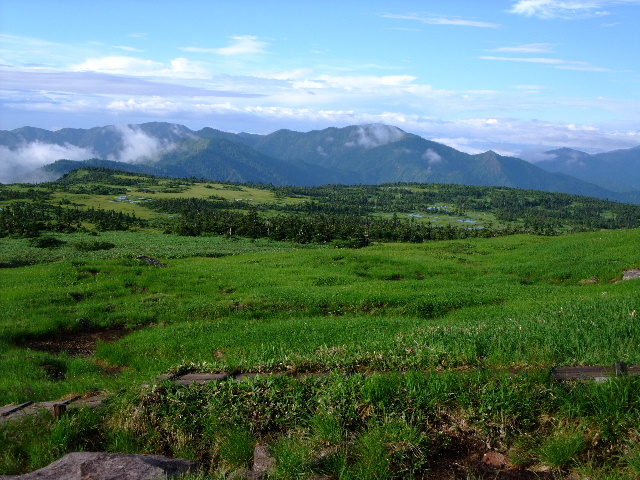 苗場山の広大な山頂湿原