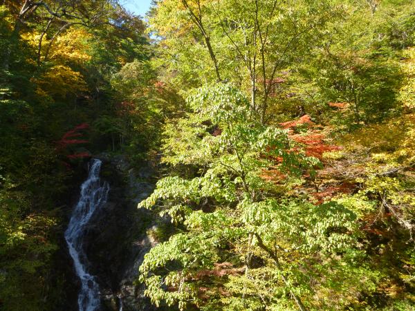 三頭大滝です。紅葉もちらほら