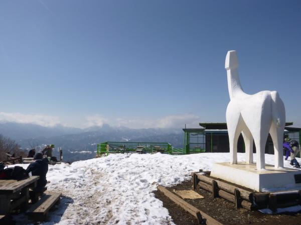 陣馬山山頂です。