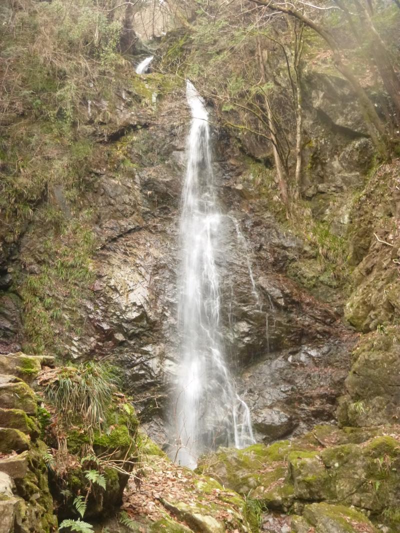 今日の氷結率は0％。がーん・・