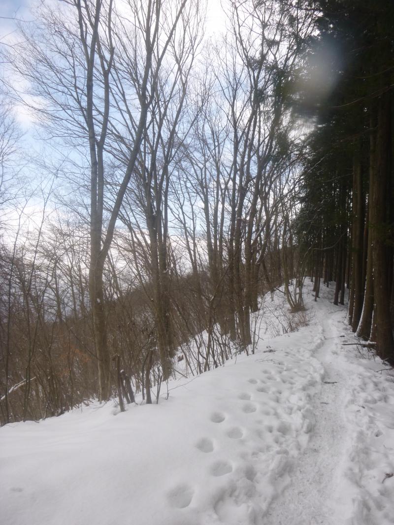 きた道を振り返る